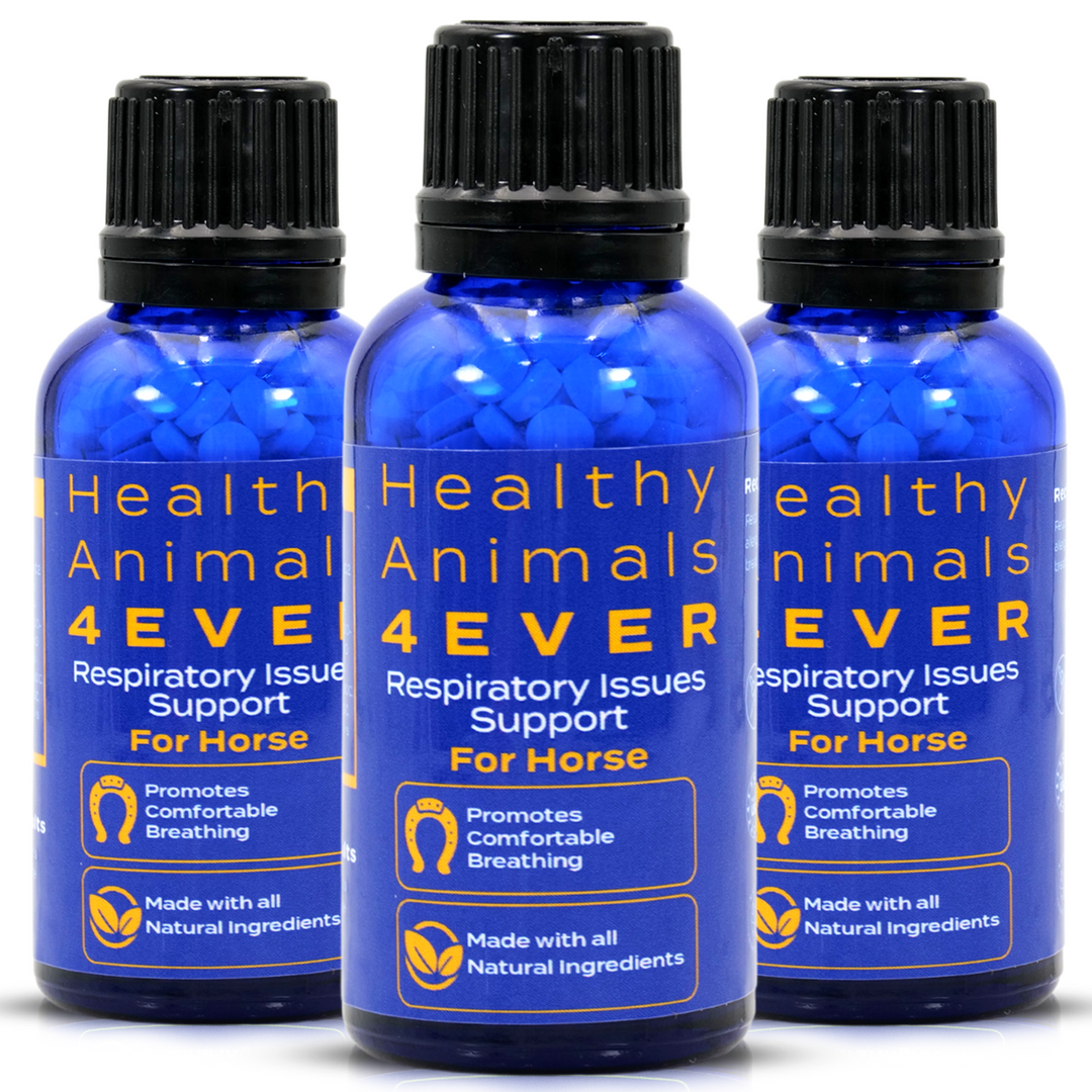 HORSE RESPIRATORY ISSUES SUPPORT Triple Pack- Save 30%