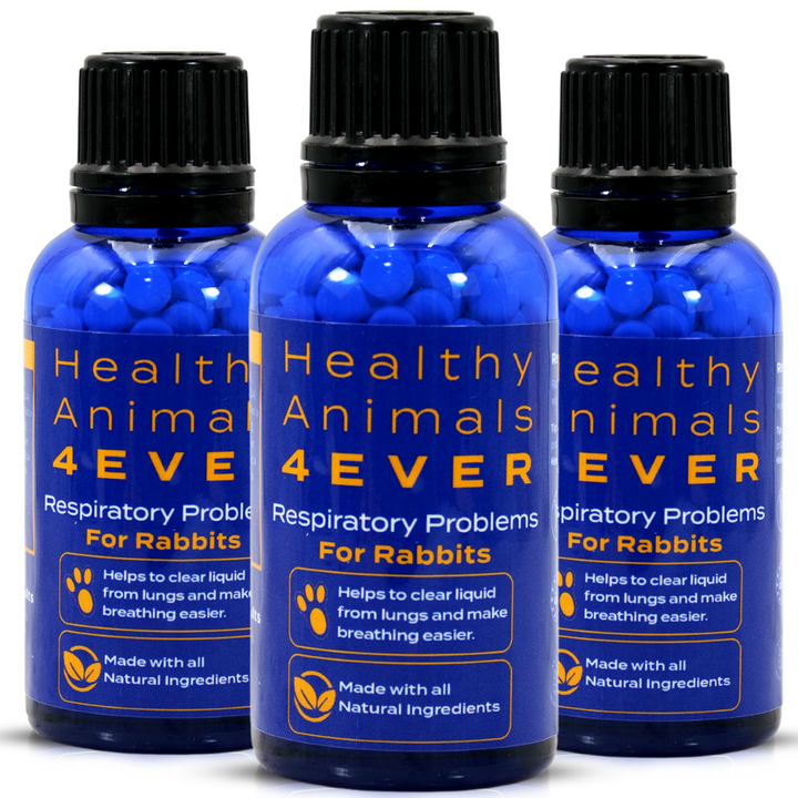 Respiratory Infection Remedy for Rabbits  Triple Pack- Save 30%