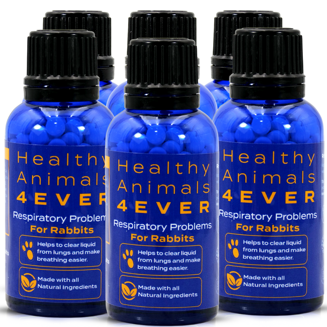 Respiratory Infection Remedy for Rabbits  Six Pack- Save 50%