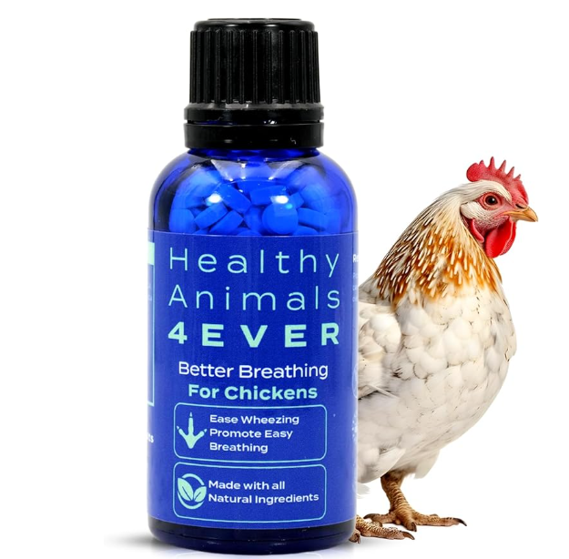 Chicken Respiratory Support Supplement - Effective Breathing Aid for Chickens - Highly Effective Homeopathic Formula - 300 Tablets