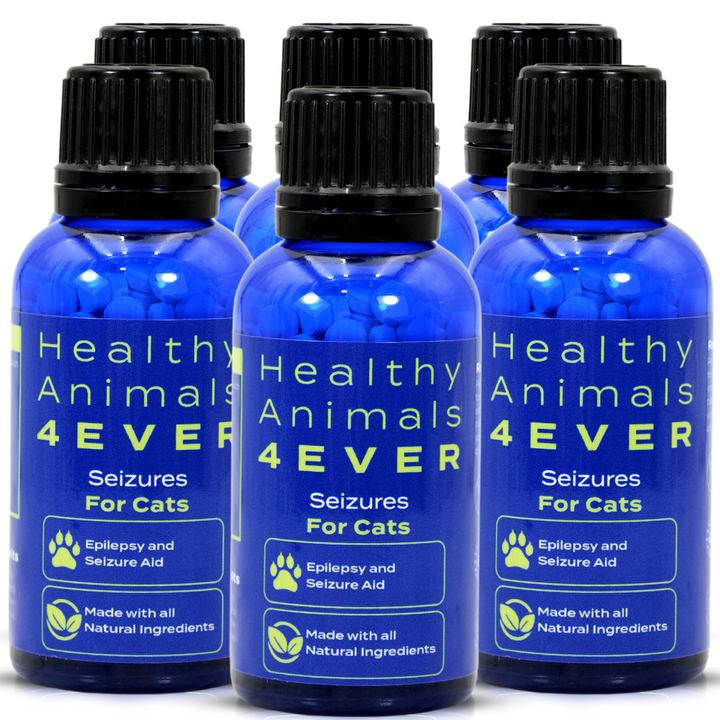 Seizures - Cats Six Pack- Save 50%