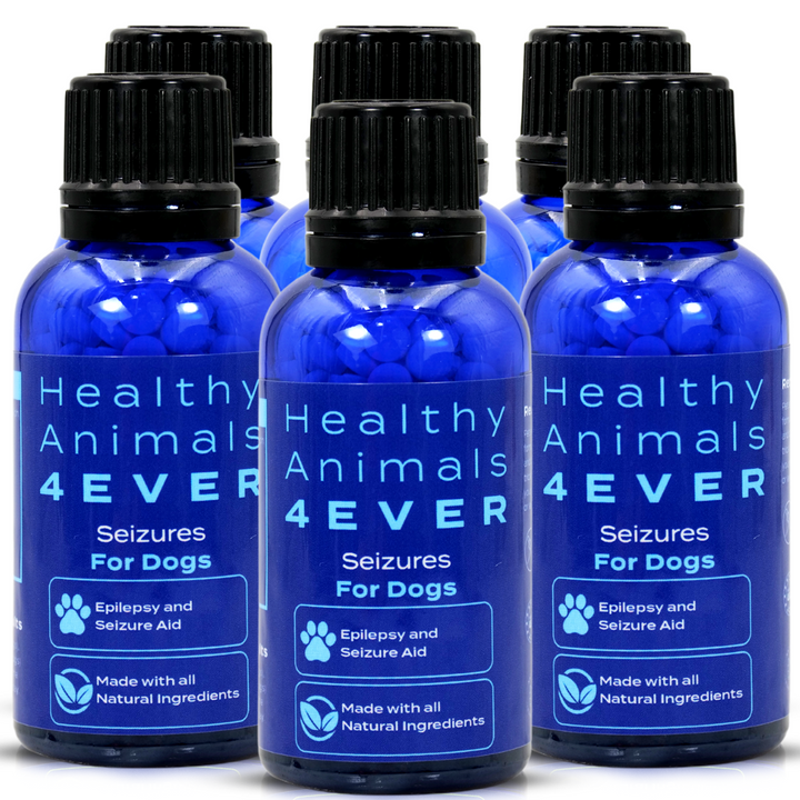 Seizures - Dogs  Six Pack- Save 50%