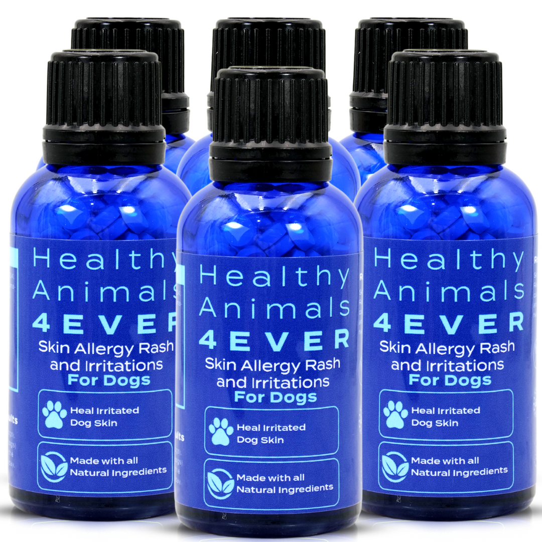 Skin Allergy Rash and Irritations - Dogs Six Pack- Save 50 