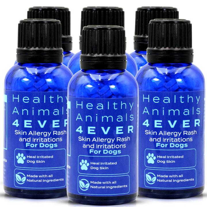 Skin Allergy Rash and Irritations - Dogs Six Pack- Save 50 
