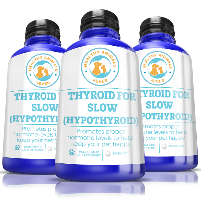 Natural Hypothyroidism Support Formula for Cats,  Triple Pack- Save 30%