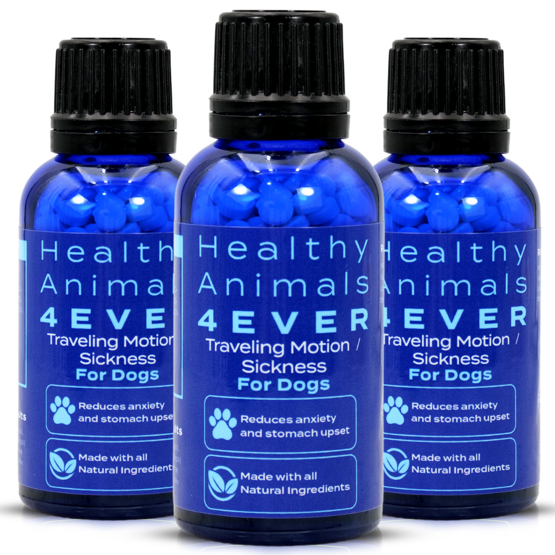 Traveling/Motion Sickness Support Formula for Dogs,  Triple Pack- Save 30%