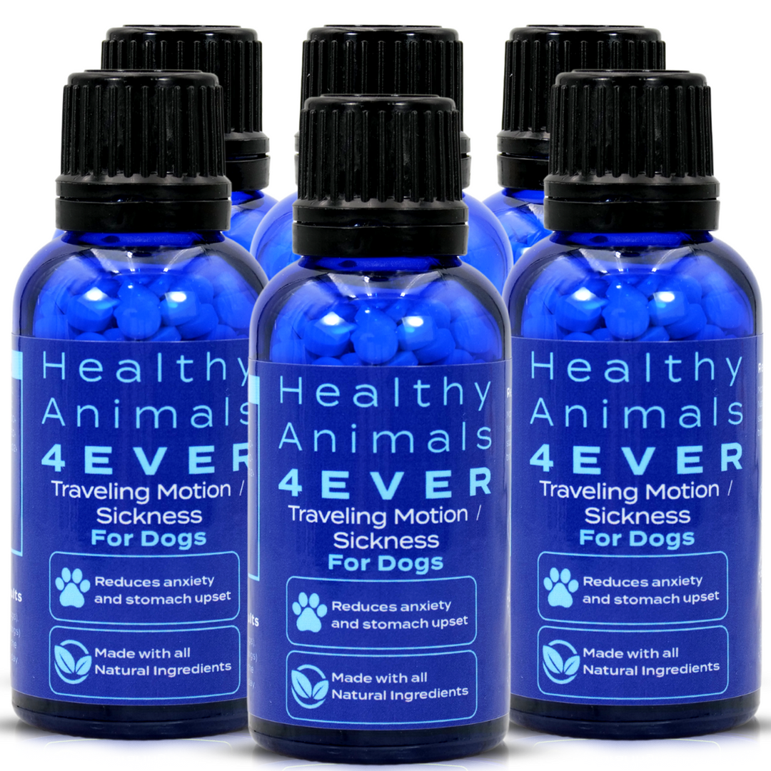 Traveling/Motion Sickness Support Formula for Dogs, 300 Tablets,  Six Pack- Save 50%