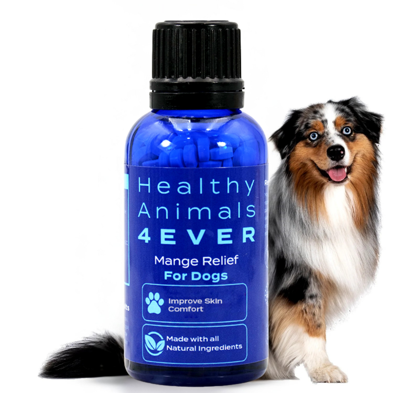 Mange Relief for Dogs