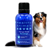 Mange Relief for Dogs - Treatment for Itchiness, Scabs, & Hair Loss Caused by Mites