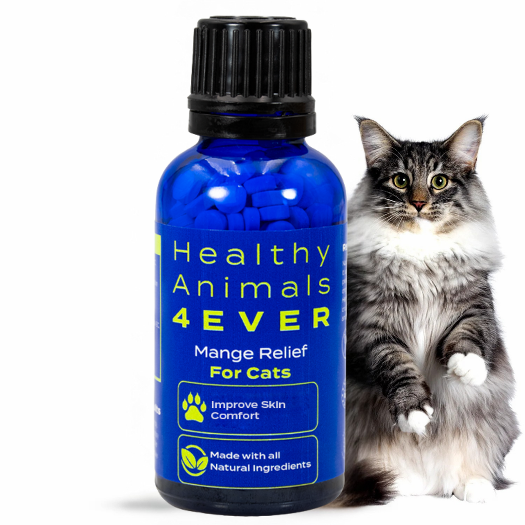 Mange Remedy for Cats - Natural Support for Itchiness, Scabs, & Hair Loss Caused by Mites