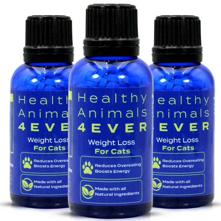 Weight Loss Formula for Cats,  Triple Pack- Save 30%