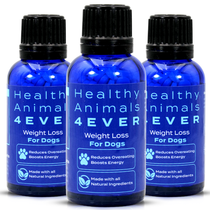 Weight Loss Formula for Dogs,  Triple Pack- Save 30%