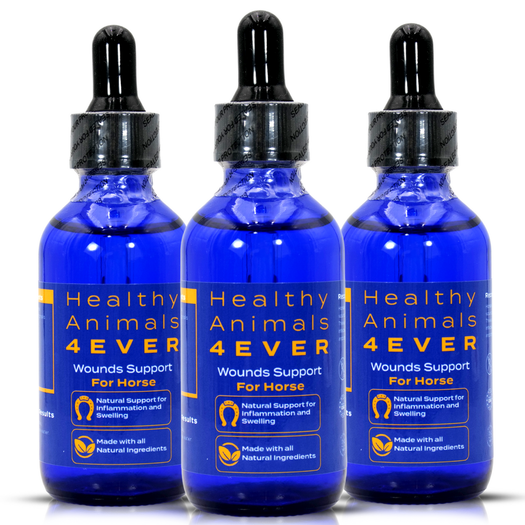 HORSE WOUNDS SUPPORT(Liquid)Triple Pack- Save 30%