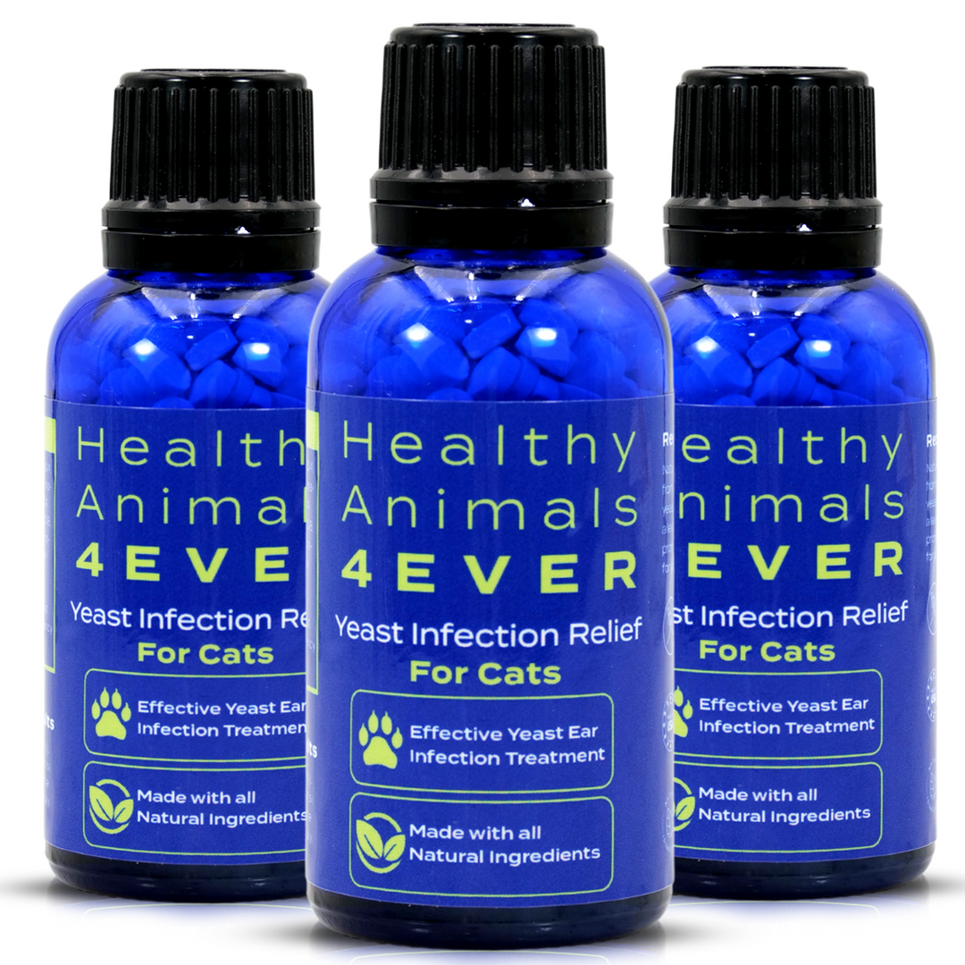 Yeast Infection Relief for Cats- Triple Pack- Save 30%