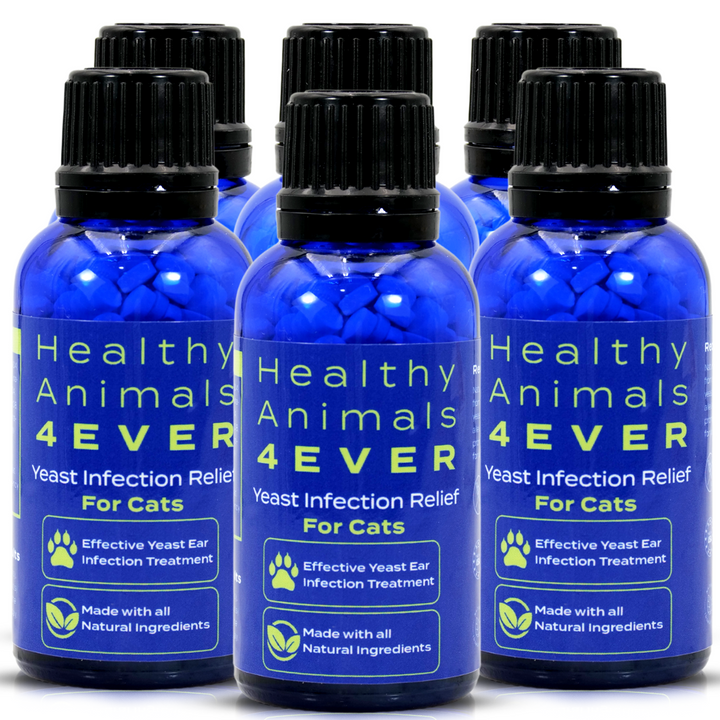 Yeast Infection Relief for Cats-  Six Pack- Save 50%