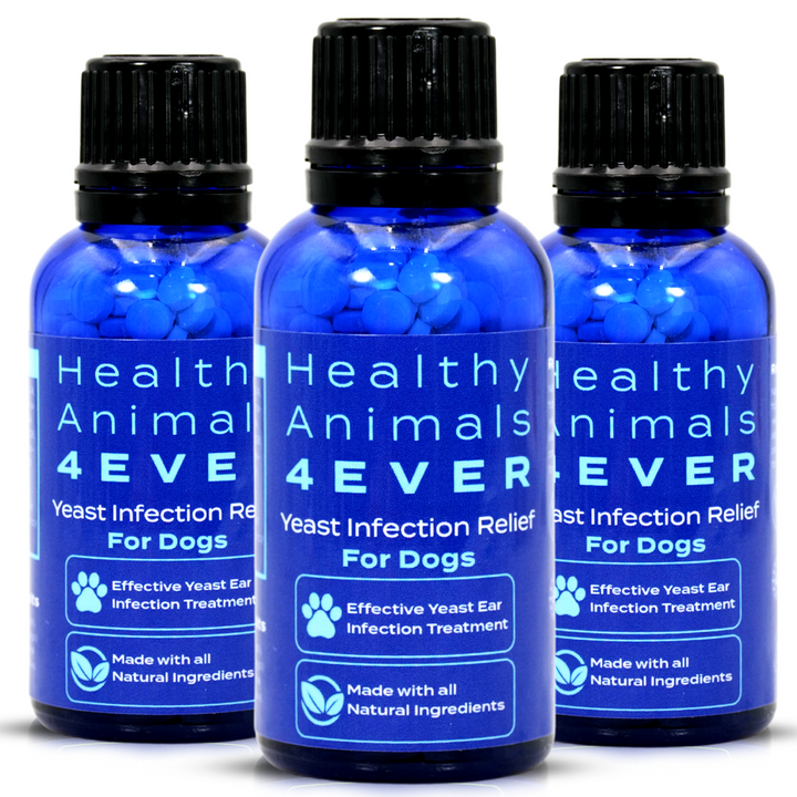 Yeast Infection Relief for Dogs Triple Pack- Save 30%