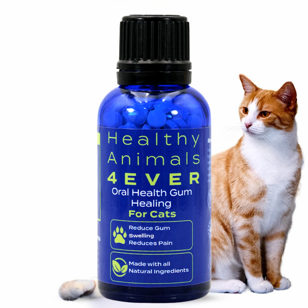 Oral Health Gum Healing Formula for Cats, 30-Day Supply