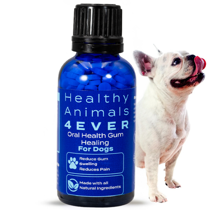 Oral Health Gum Healing Formula for Dogs, 30-Day Supply
