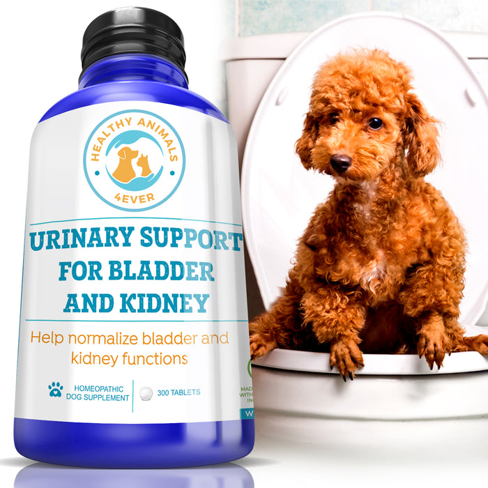 Urinary Support for Bladder and Kidney Formula for Dogs, 300 Pellets, 30-Day Supply
