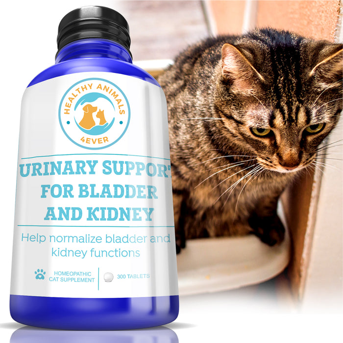 Urinary Support for Bladder and Kidney Formula for Cats, 300 Pellets,  Six Pack- Save 50%