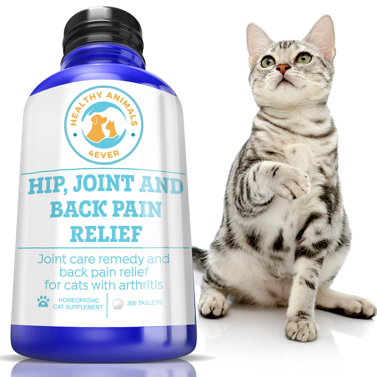 Joint pain relief cheap for cats