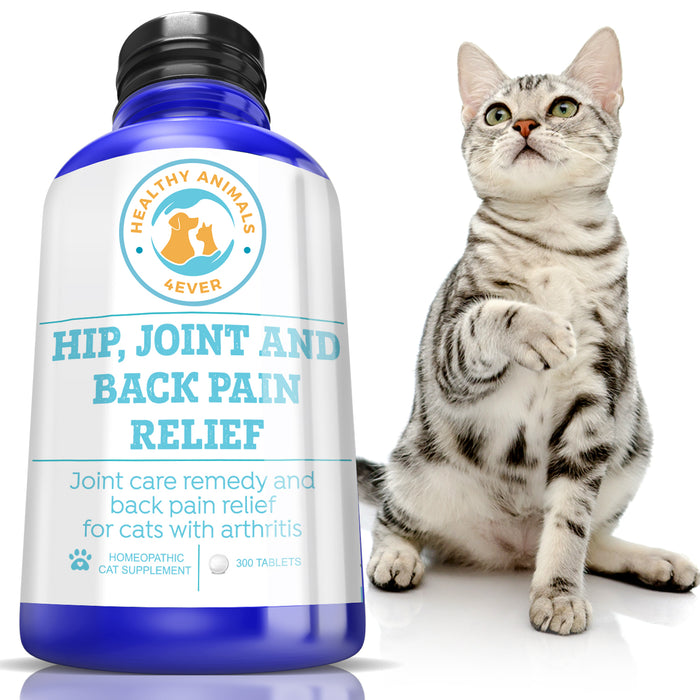 Hip, Joint and Back Pain Relief - Cats Six Pack- Save 50%
