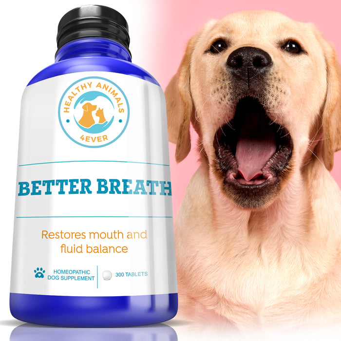 Better Breath - Dogs