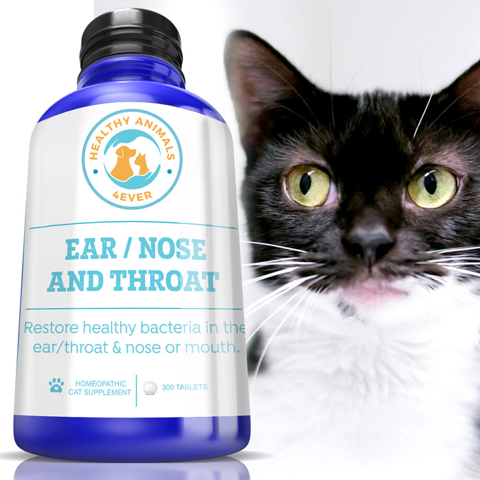 Ear Nose and Throat - Cats
