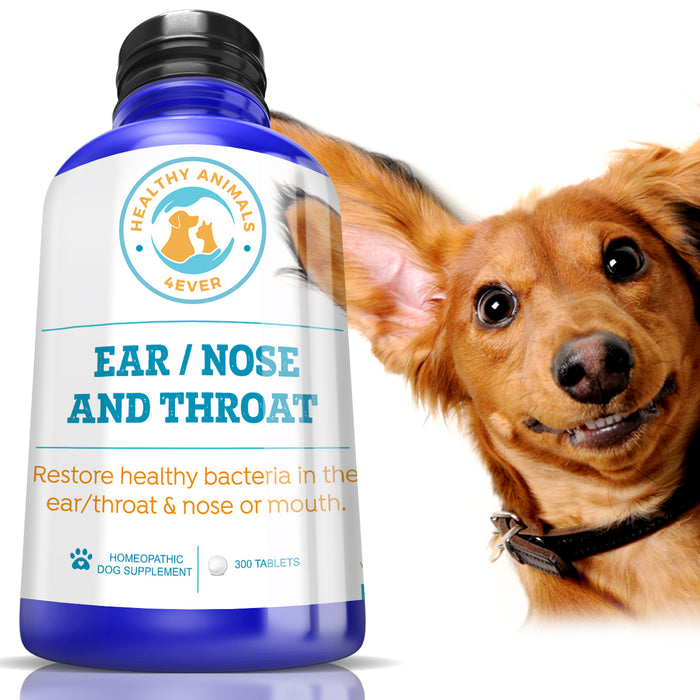 Ear Nose and Throat - Dogs