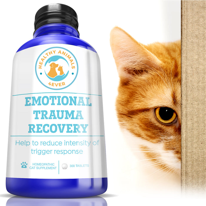 Emotional Trauma Recovery - Cats