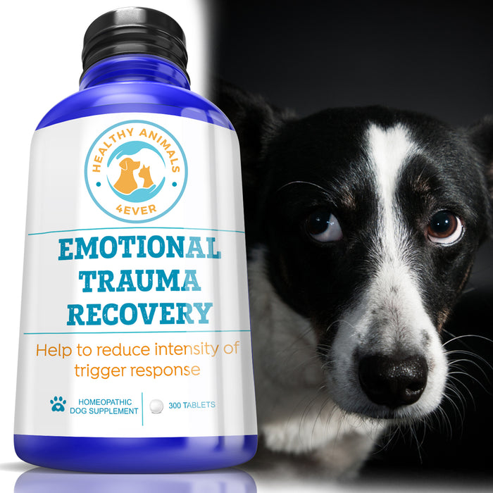 Emotional Trauma Recovery - Dogs