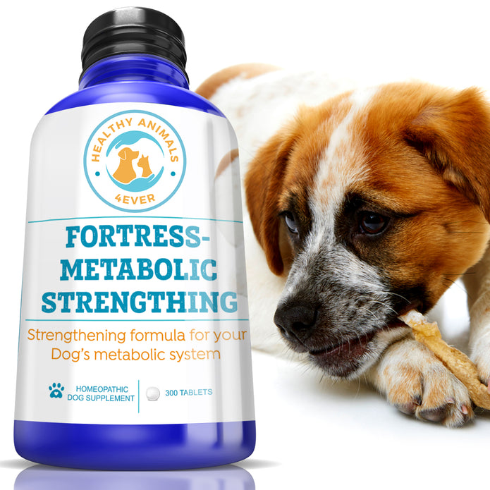 Fortress-metabolic Strengthening Formula for Dogs