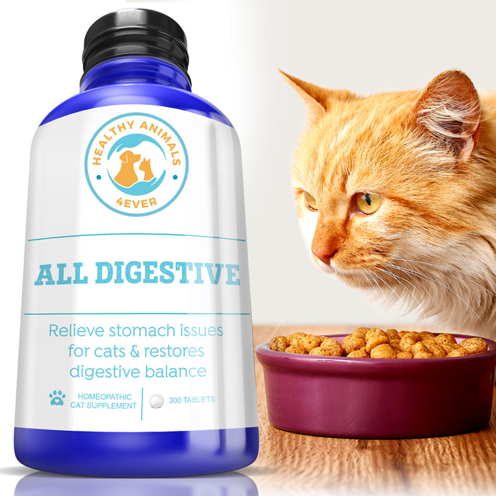 All Digestive - Cats Six Pack- Save 50%