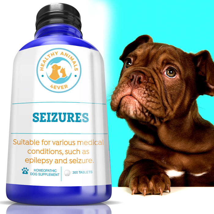 Seizures - Dogs