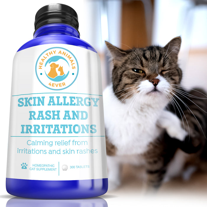 Skin Allergy Rash and Irritations - Cats