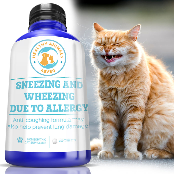 Sneezing and Wheezing Due to Allergy Formula for Cats