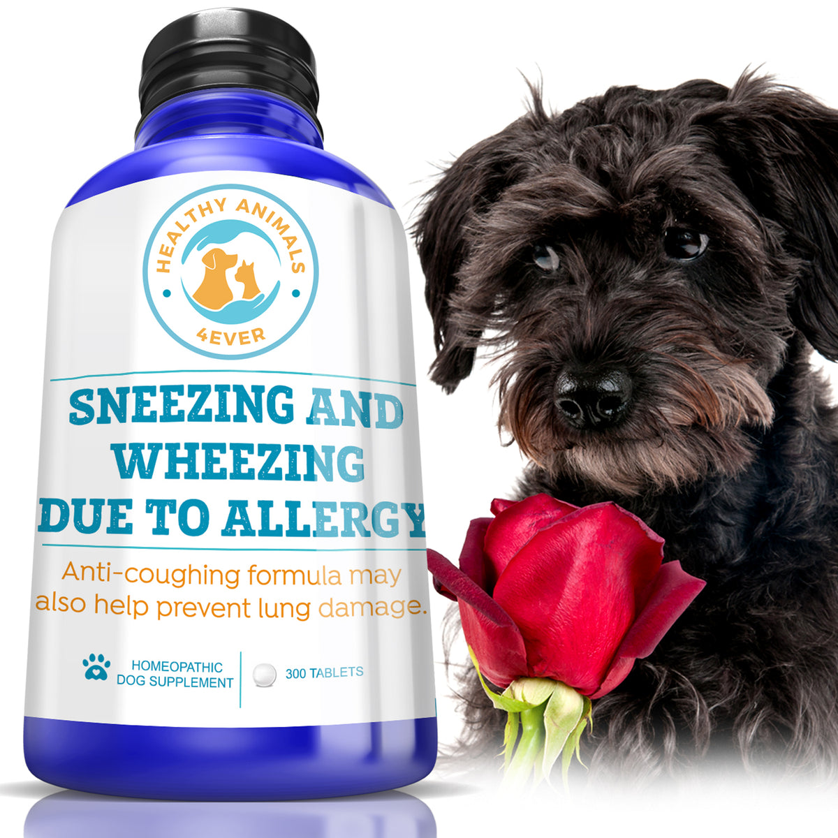 Sneezing and Wheezing Due to Allergy Formula for Dogs, 300 Tablets, 30