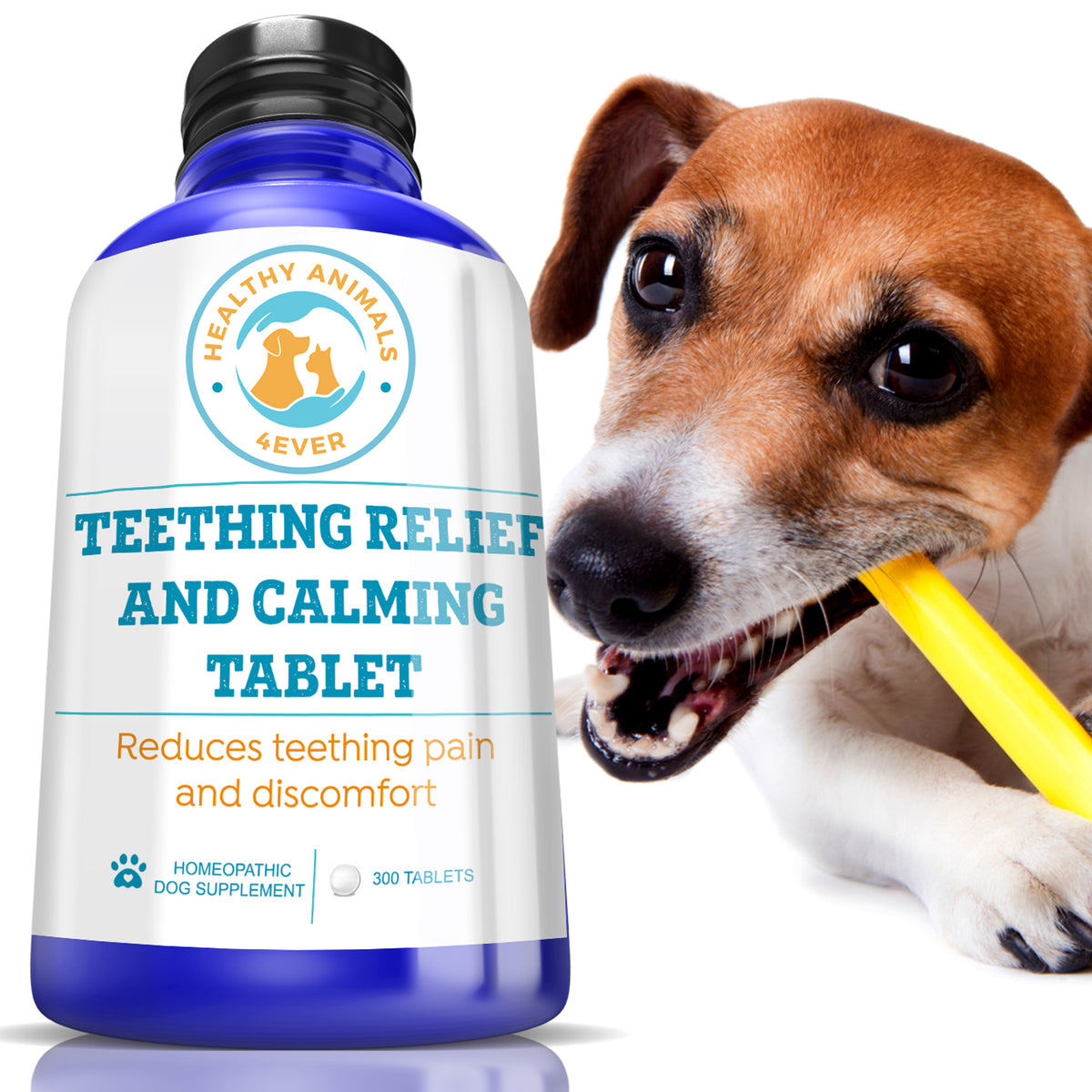 Dog teething 2025 pain relief