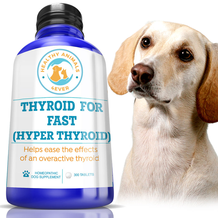 Natural Hyperthyroidism Support Formula for Dogs, 300 Pellets, 30-Day Supply