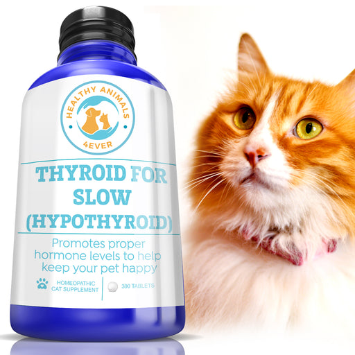 Natural Hypothyroidism Support Formula for Cats, 300 Pellets, 30-Day S —  Healthy Animals 4Ever