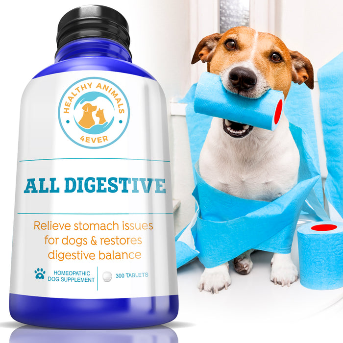 All Digestive - Dogs