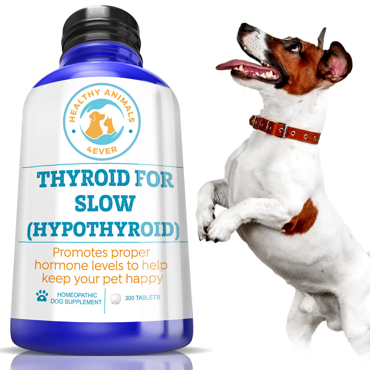 Natural Hypothyroidism Support Formula for Dogs, 300 Pellets, 30Day S — Healthy Animals 4Ever