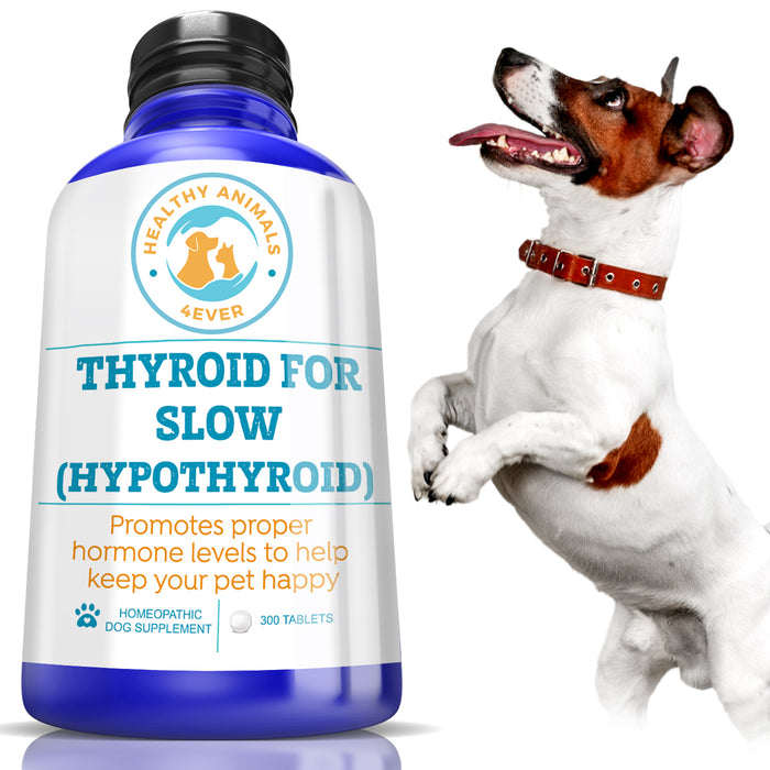Natural Hypothyroidism Support Formula for Dogs, 300 Pellets, 30-Day Supply