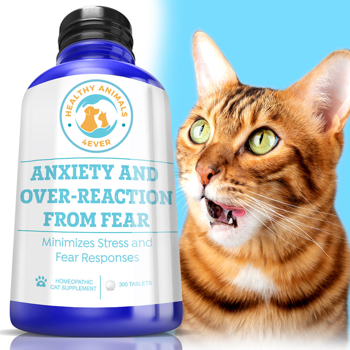 Anxiety and Over-Reaction from Fear Formula for Cats