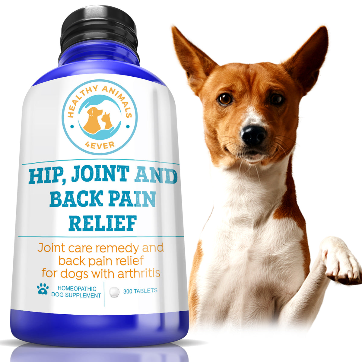 Hip, Joint and Back Pain Relief Dogs — Healthy Animals 4Ever