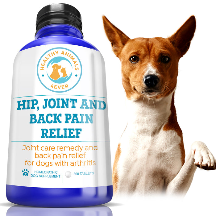 Hip, Joint and Back Pain Relief - Dogs