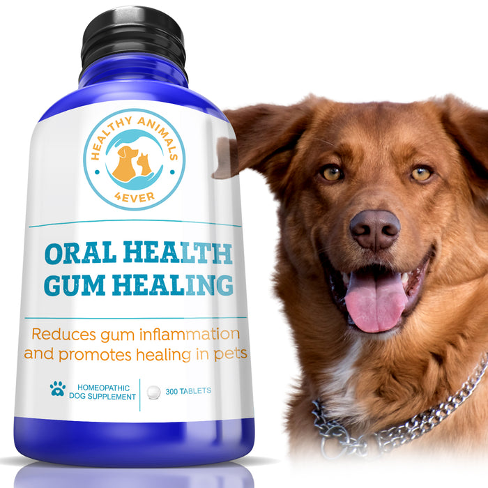 Oral Health Gum Healing Formula for Dogs, 300 Tablets, 30-Day Supply
