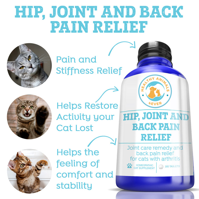 Hip, Joint and Back Pain Relief - Cats