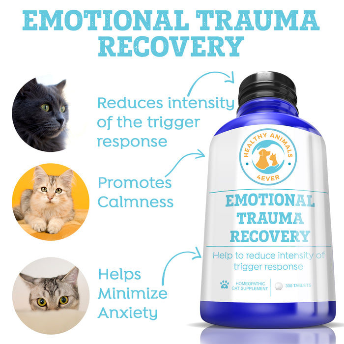Emotional Trauma Recovery - Cats  Triple Pack- Save 30%