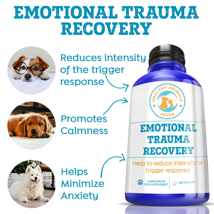 Emotional Trauma Recovery - Dogs